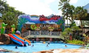 Dau Malang